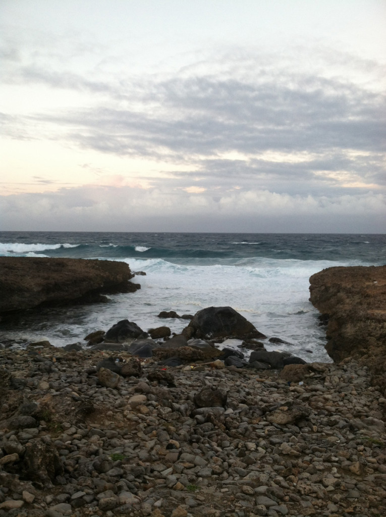 Rocky shores of Northeast coast of Aruba